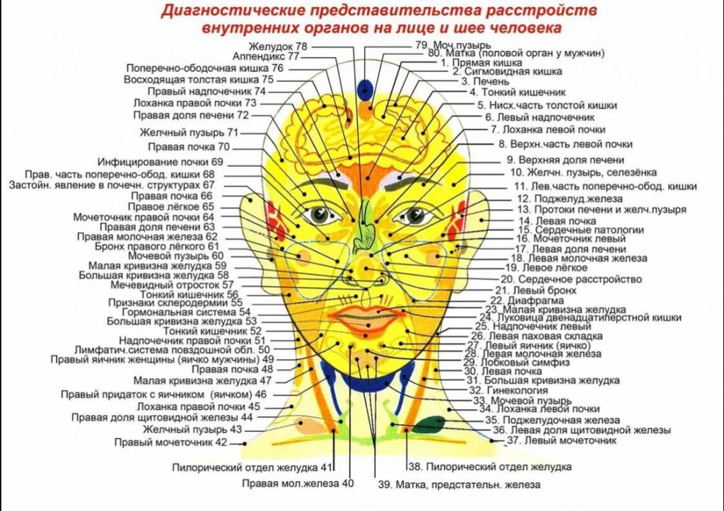 Диагностические представительства расстройств внутренних органов на лице и шее человека